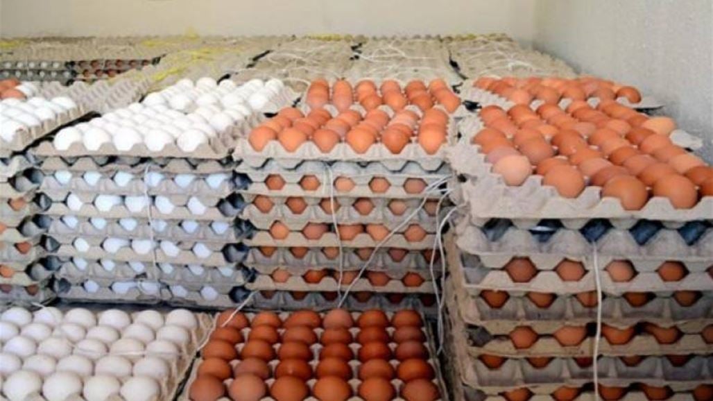 اسعار البيض اليوم1 اسعار البيض اليوم1